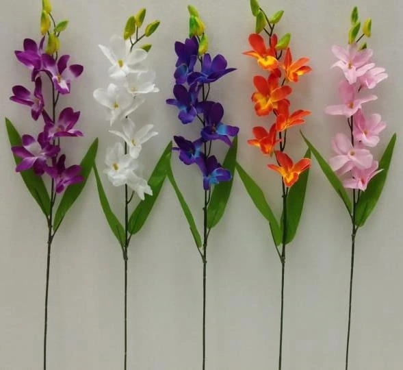 Sonia Orchid